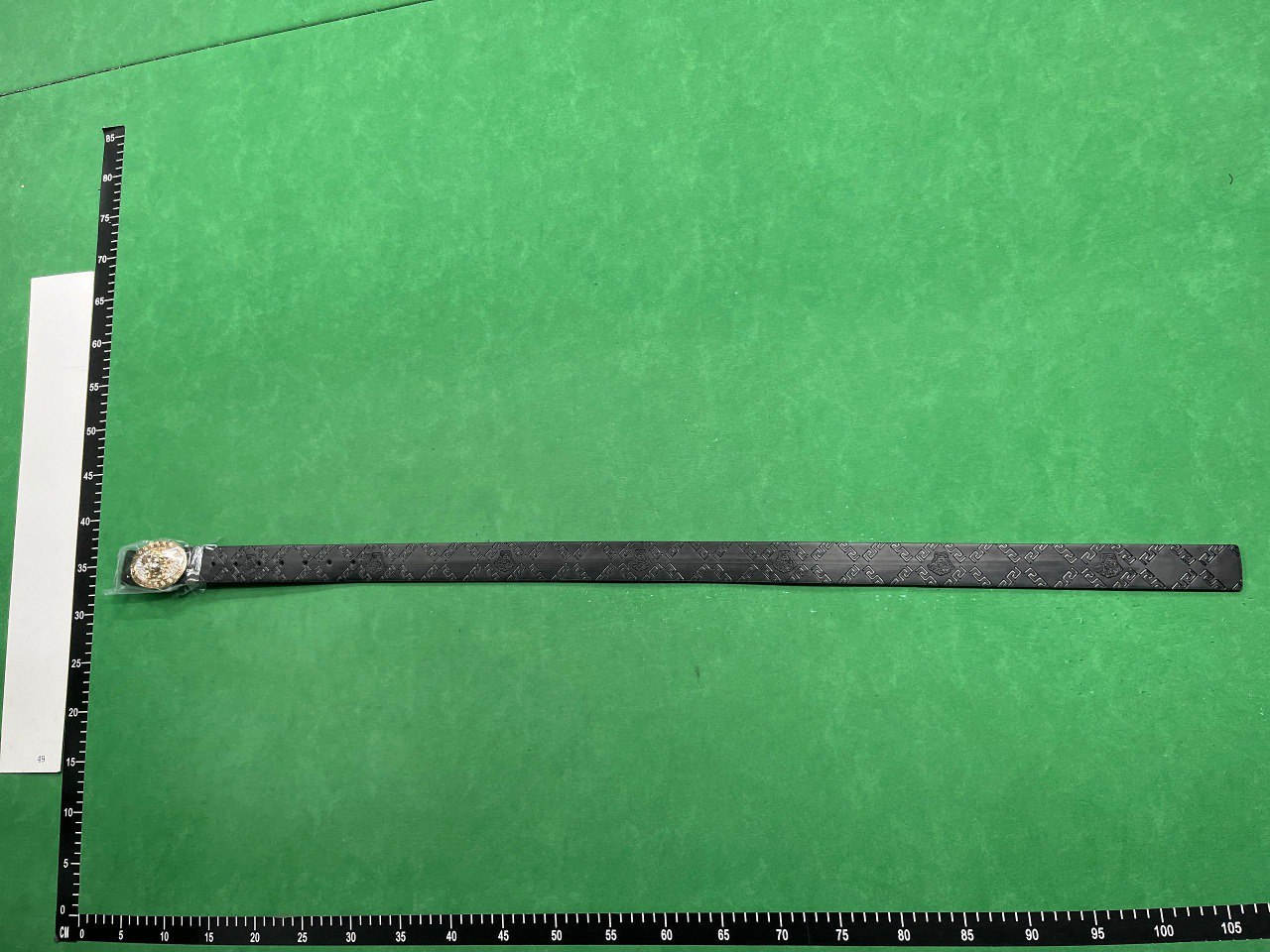 Versace Medusa Head Belt [40 styles]