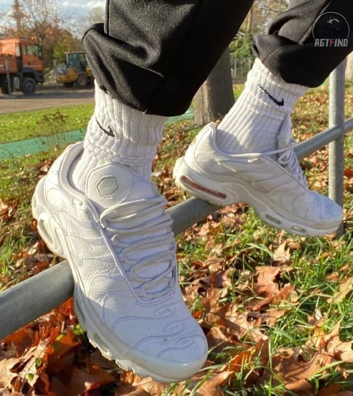 Nike Air Max Plus Sneakers [33 styles]