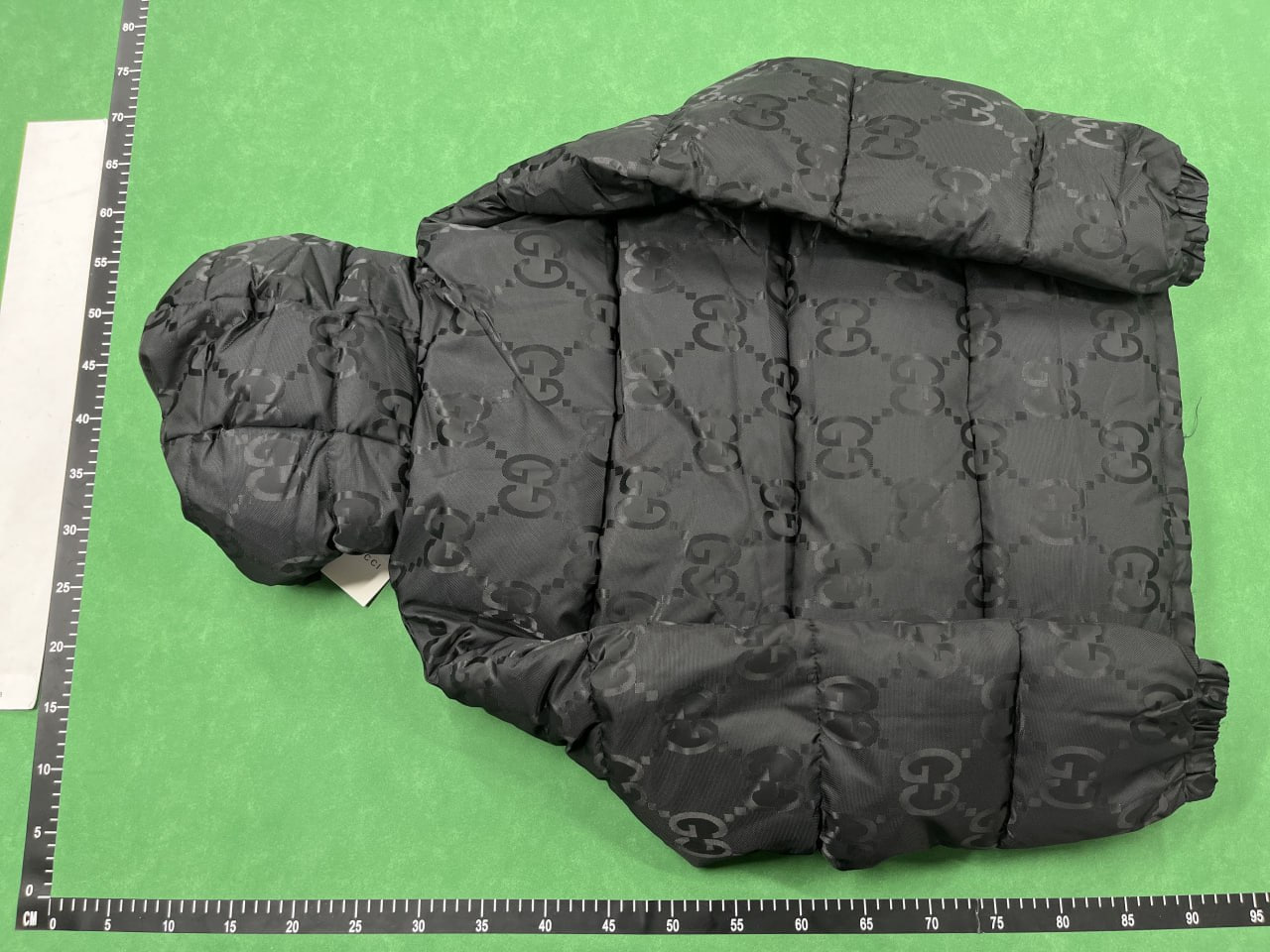 The North Face x Gucci Puffer Jackets [20 styles]