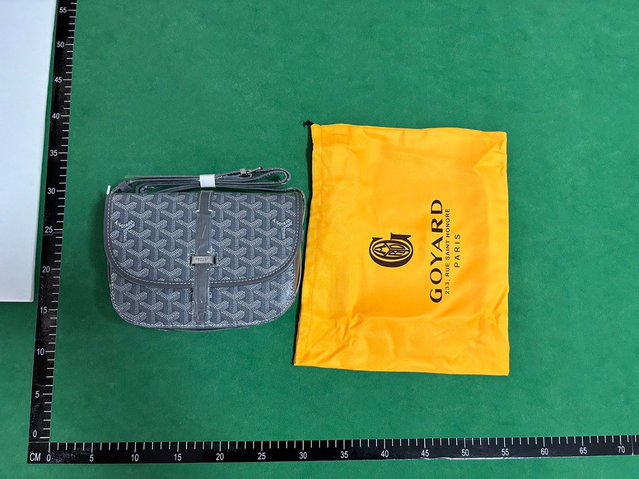Goyard Saint Louis PM Crossbody Bag [40 styles]