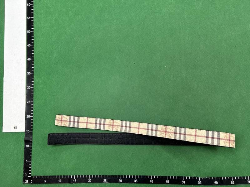 Burberry TB Monogram & Louis Vuitton LV Initiales Belts [40 styles]