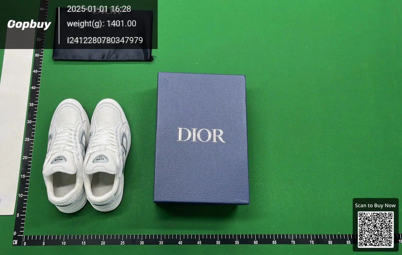 Dior B22 Sneakers [30 styles]
