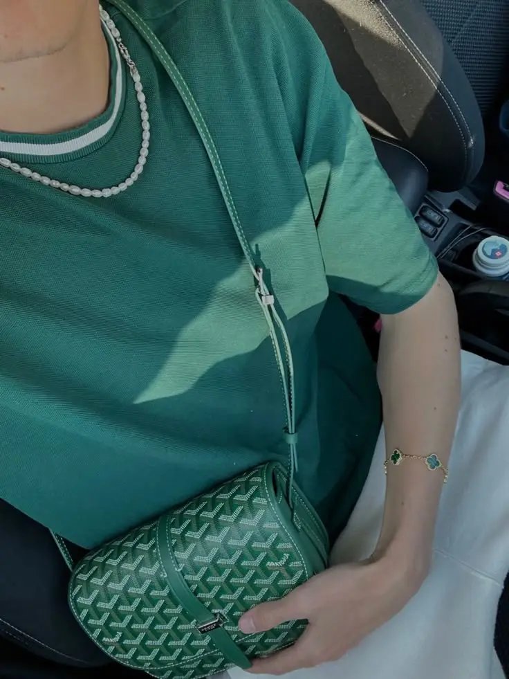 Goyard Saint Louis Card Holder [37 styles]