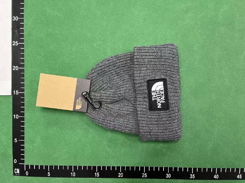 The North Face Beanie [38 styles]