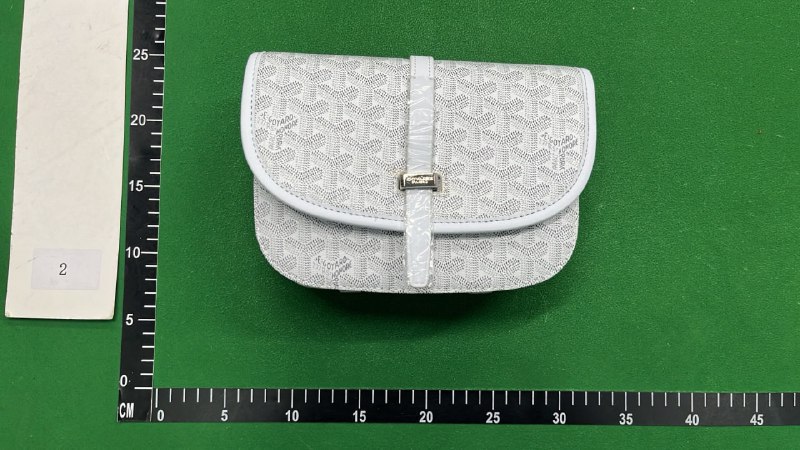 Goyard Saint Louis PM Crossbody Bag [27 styles]