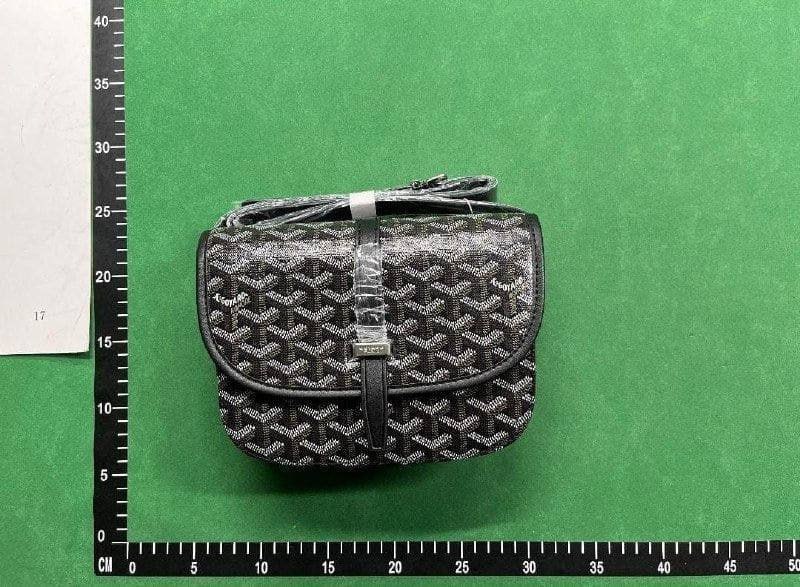 Goyard Saint Louis PM Crossbody Bag [27 styles]