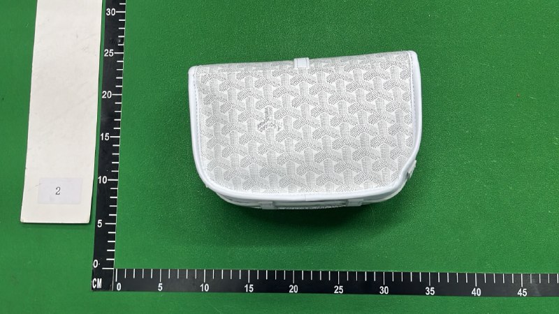 Goyard Saint Louis PM Crossbody Bag [27 styles]