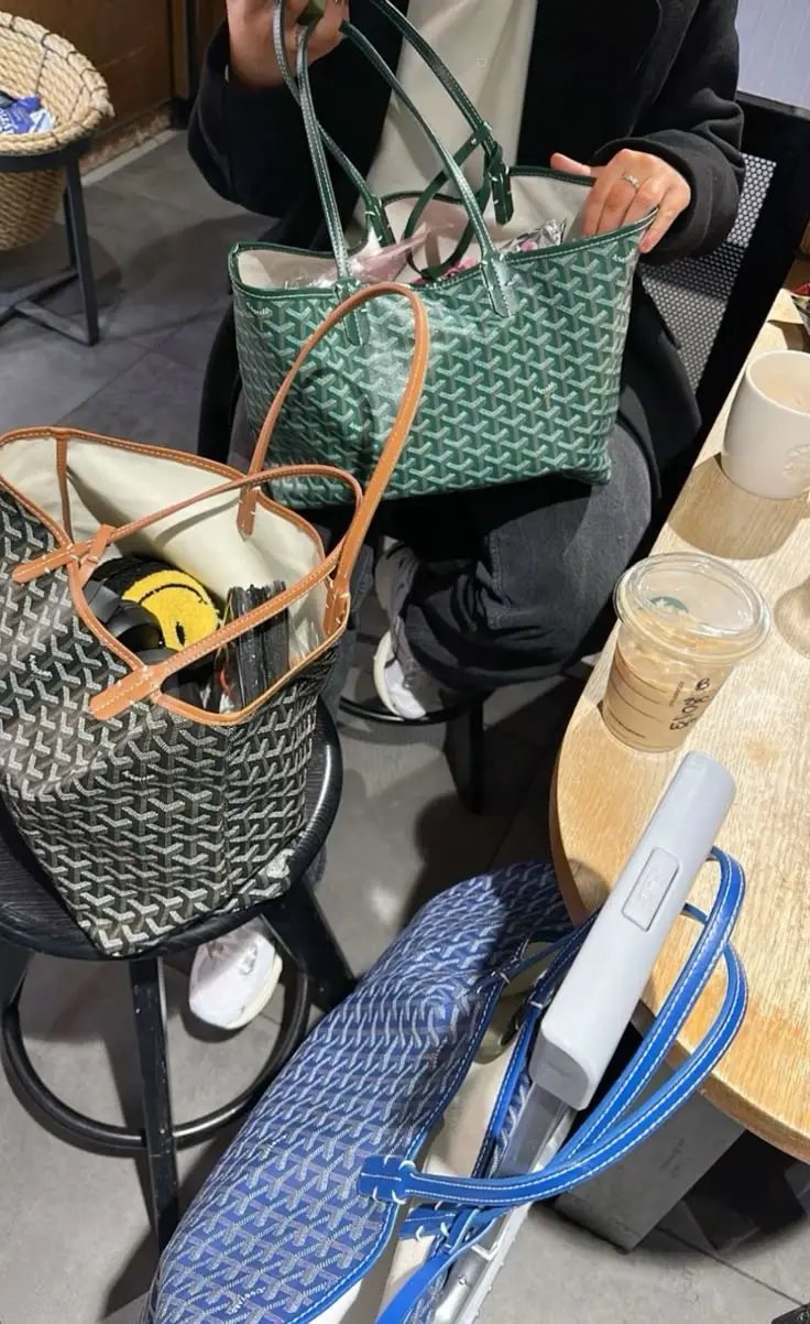 Goyard Saint Louis PM Tote Bag [37 styles]